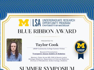 2021 Summer Blue Ribbon IG 